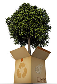 Tree in a cardboard box with recycle symbol