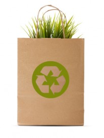 Paper shopping eco bag with green grass